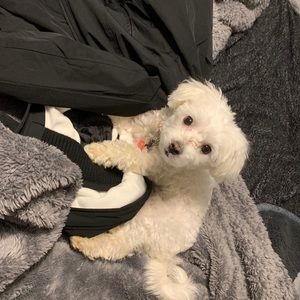 Meet your Posher, Kim